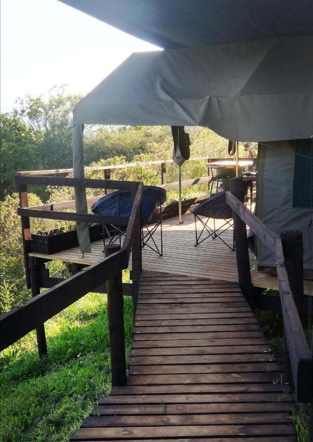 Chosen Glamping Tents Graskop Dış mekan fotoğraf