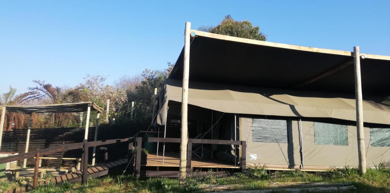 Chosen Glamping Tents Graskop Dış mekan fotoğraf