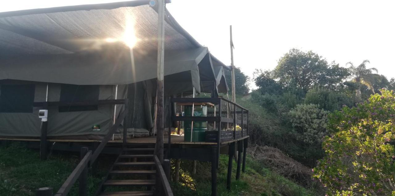 Chosen Glamping Tents Graskop Dış mekan fotoğraf