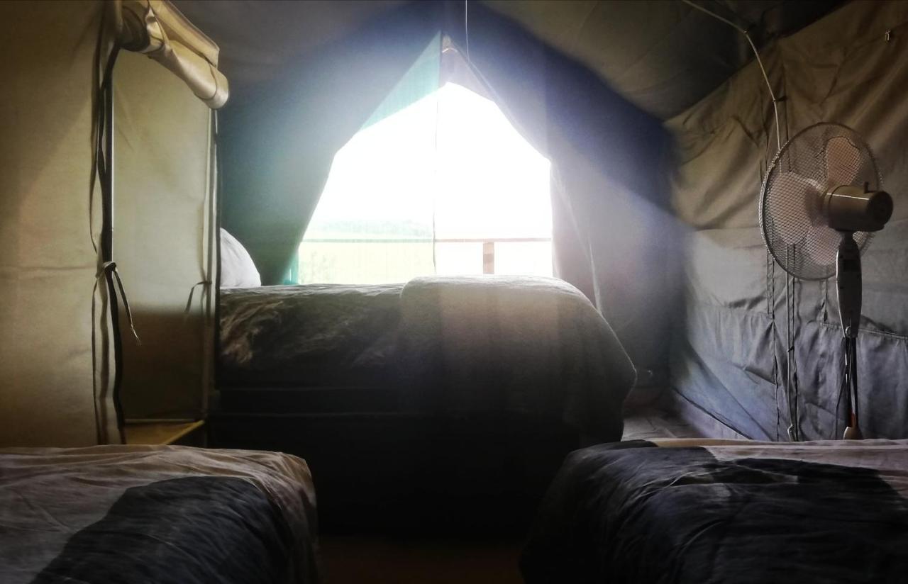 Chosen Glamping Tents Graskop Dış mekan fotoğraf