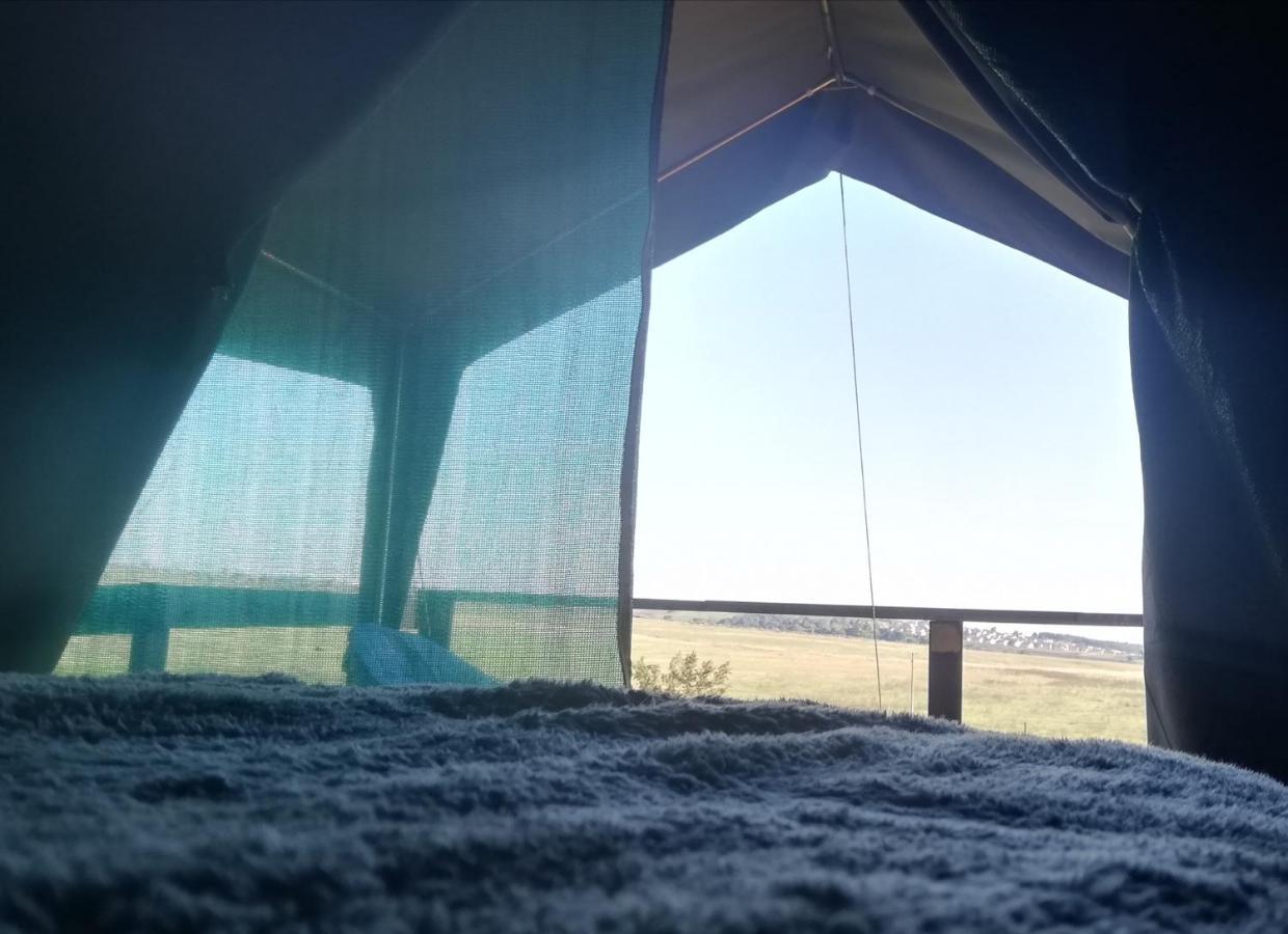 Chosen Glamping Tents Graskop Dış mekan fotoğraf