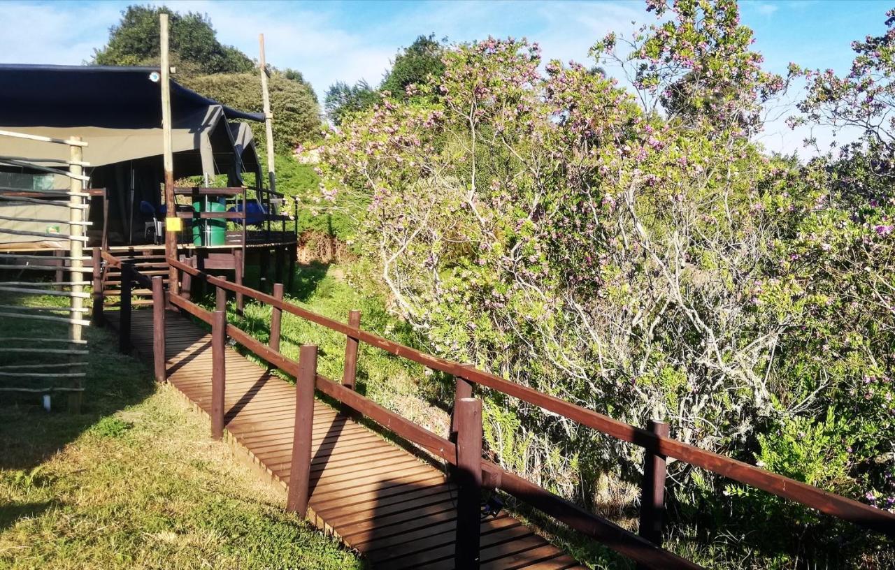 Chosen Glamping Tents Graskop Dış mekan fotoğraf
