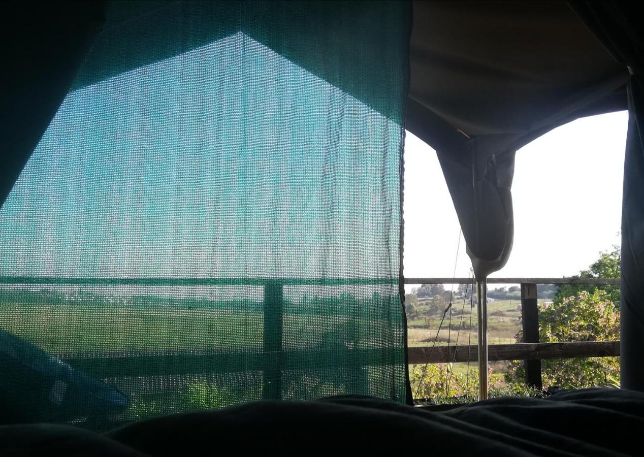 Chosen Glamping Tents Graskop Dış mekan fotoğraf