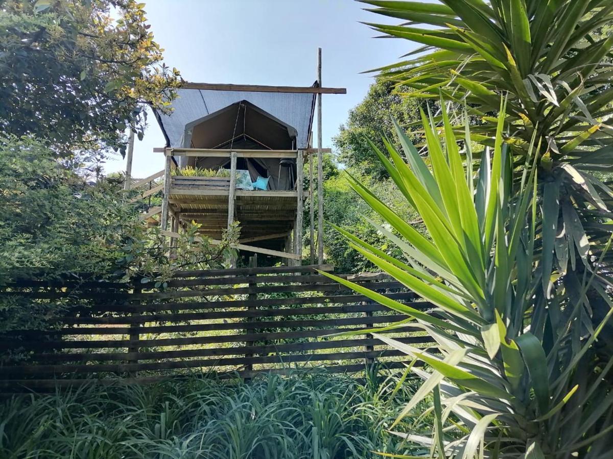 Chosen Glamping Tents Graskop Dış mekan fotoğraf