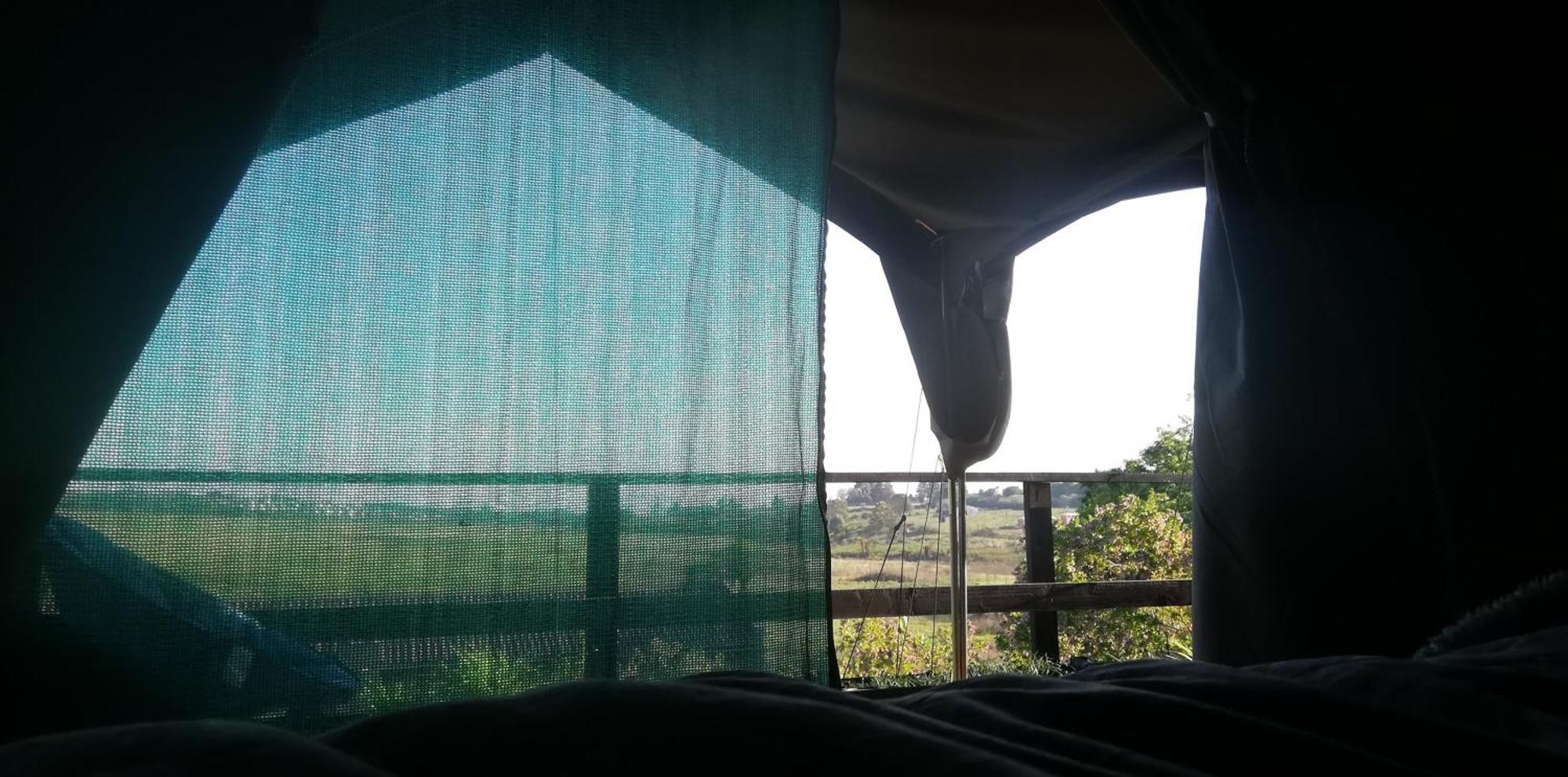 Chosen Glamping Tents Graskop Dış mekan fotoğraf